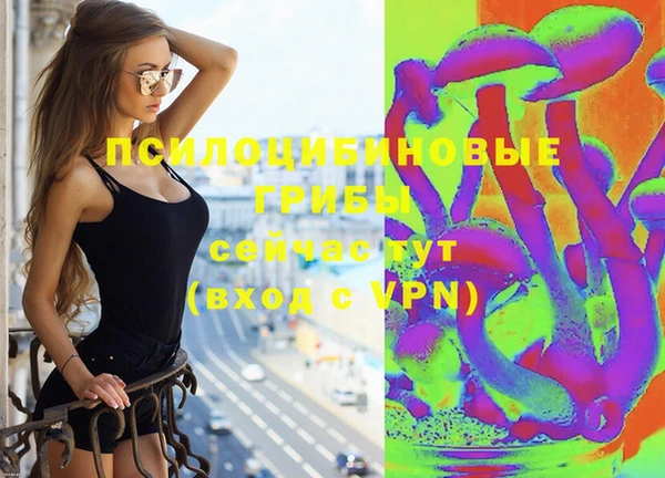 MDMA Premium VHQ Новозыбков
