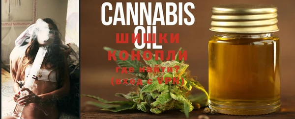 бошки Новодвинск