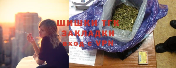 бошки Новодвинск