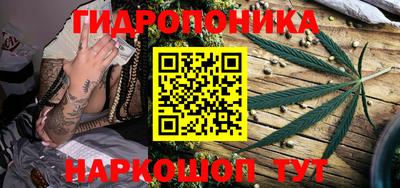 индика Азнакаево