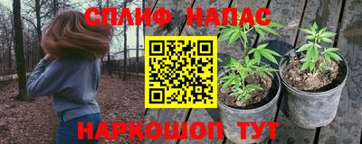 ГАЛЛЮЦИНОГЕННЫЕ ГРИБЫ Аргун