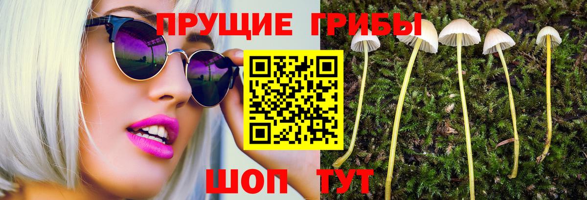 Галлюциногенные грибы Psilocybe  Апрелевка 