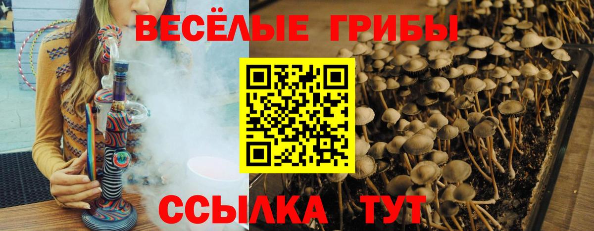 Галлюциногенные грибы GOLDEN TEACHER Апрелевка