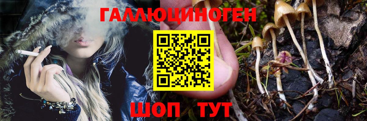 Галлюциногенные грибы прущие грибы Апрелевка