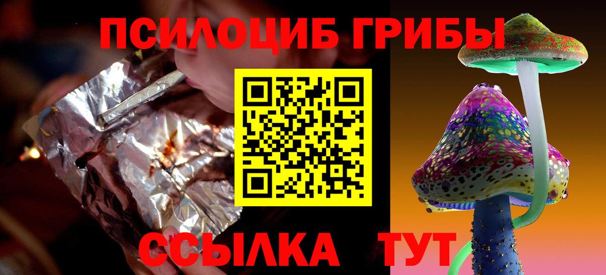 Псилоцибиновые грибы MAGIC MUSHROOMS  Вход с VPN  Апрелевка 